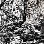 Daniel Anselmi, Untitled (7-14), 2024