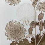 Margot Glass, Lady's Thumb #2, 2024