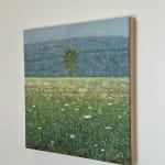 Thomas Sarrantonio, Field Painting July 19, 2021