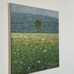 Thomas Sarrantonio, Field Painting July 19, 2021