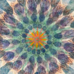 Mary Judge, Exotic Hex Series, 111-07, 2, 2007