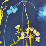 Julia Whitney Barnes, Cyanotype Painting (Roses, Snowdrops, Pollinators, etc.), 2021