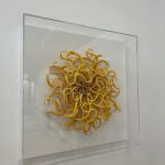 Catherine Latson, Specimen #19, 2020