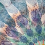 Mary Judge, Exotic Hex Series, 111-07, 2, 2007