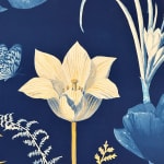 Julia Whitney Barnes, Cyanotype Painting (Roses, Snowdrops, Pollinators, etc.), 2021