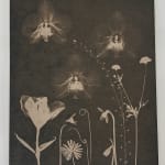 Julia Whitney Barnes, Cyanotype Painting (Tulips, Daffodils, Crocus, Pollinators, etc.), 2021