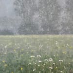Thomas Sarrantonio, Field Painting July 19, 2021
