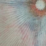 Mary Judge, Exotic Hex Series, 111-07, 2, 2007