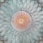 Mary Judge, Exotic Hex Series, 111-07, 2, 2007
