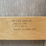 Peter Hamlin, Transmission Flower, 2022