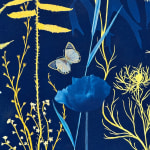 Julia Whitney Barnes, Cyanotype Painting (Roses, Snowdrops, Pollinators, etc.), 2021