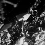 Laura Barr, Moonlit Surfer, 2023