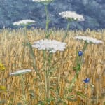Thomas Sarrantonio, Field Painting July 19, 2021