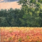 Thomas Sarrantonio, Field Painting July 19, 2021