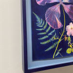 Julia Whitney Barnes, Cyanotype Painting (Hibiscus, Fern, Rose), 2020-2021