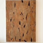 Daniel Anselmi, Untitled (7-14), 2024