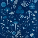 Julia Whitney Barnes, Planting Utopia (City of Peace), 2022-'24