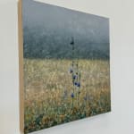 Thomas Sarrantonio, Field Painting July 19, 2021