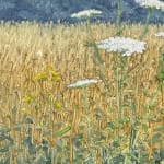 Thomas Sarrantonio, Field Painting July 19, 2021