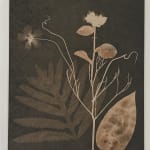 Julia Whitney Barnes, Cyanotype Painting (Tea Toned Fern, Lungwort, etc), 2021
