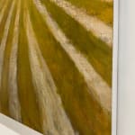 David Konigsberg, Joy Ride, 2024