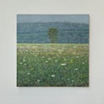Thomas Sarrantonio, Field Painting July 19, 2021