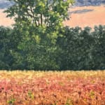 Thomas Sarrantonio, Field Painting July 19, 2021