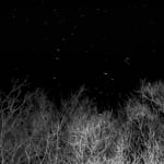 Laura Barr, Moonlit Surfer, 2023