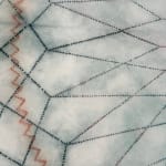 Mary Judge, Exotic Hex Series, 111-07, 2, 2007