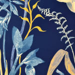 Julia Whitney Barnes, Cyanotype Painting (Roses, Snowdrops, Pollinators, etc.), 2021