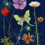 Julia Whitney Barnes, Cyanotype Painting (Luna Moth, Cosmos etc.), 2021