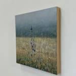 Thomas Sarrantonio, Field Painting July 19, 2021