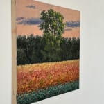 Thomas Sarrantonio, Field Painting July 19, 2021