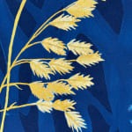 Julia Whitney Barnes, Cyanotype Painting (Roses, Snowdrops, Pollinators, etc.), 2021