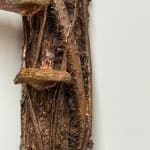 Margot Glass, Lady's Thumb #2, 2024