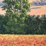 Thomas Sarrantonio, Field Painting July 19, 2021