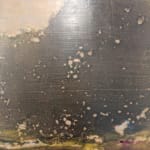David Konigsberg, Arboreal #1, #2, #3 (triptych), 2018