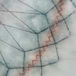 Mary Judge, Exotic Hex Series, 111-07, 2, 2007