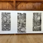 Daniel Anselmi, Untitled (7-14), 2024