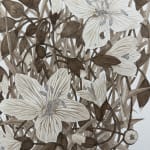 Margot Glass, Spring Beauty (Rokeby Woods) 2, 2025