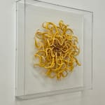 Catherine Latson, Specimen #19, 2020