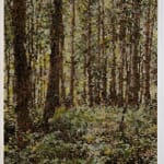 Kirstin Lamb, Dappled Green Forest, 2022