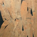 Daniel Anselmi, Untitled (7-14), 2024