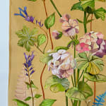 Julia Whitney Barnes, Cyanotype Painting (Roses, Snowdrops, Pollinators, etc.), 2021