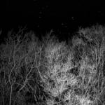 Laura Barr, Moonlit Surfer, 2023