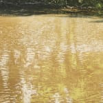 Laura Barr, Moonlit Surfer, 2023