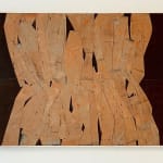 Daniel Anselmi, Untitled (7-14), 2024