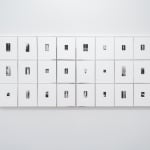 Lois Weinberger, Untitled (Pumpkin), 1978