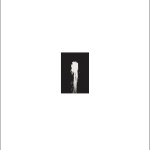 Lois Weinberger, Untitled (Pumpkin), 1978