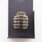 Koen van den Broek, Untitled, 2024